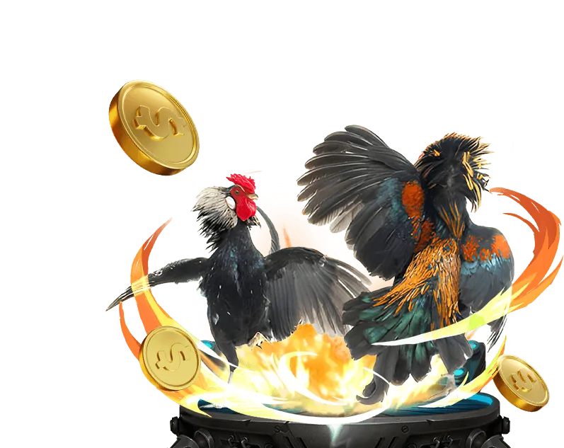 Các công cụ hỗ trợ cờ bạc có trách nhiệm của BK8